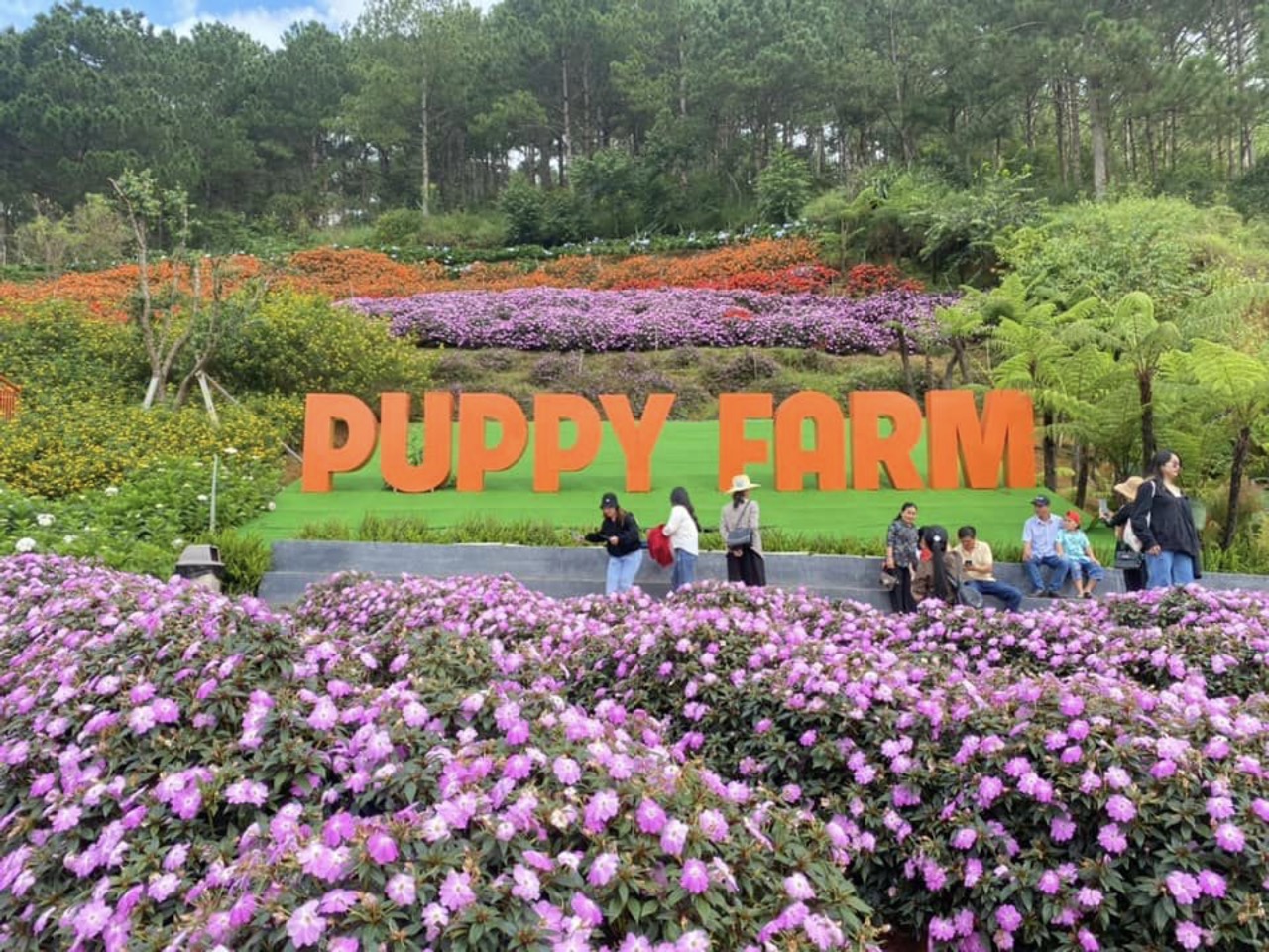 Vườn hoa Puppy