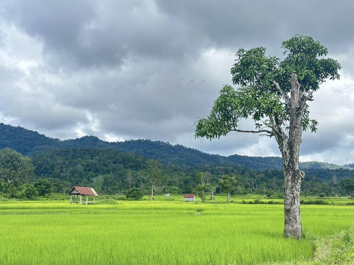 Tour Quy Nhơn – Trekking Kon Ka Kinh 1 ngày
