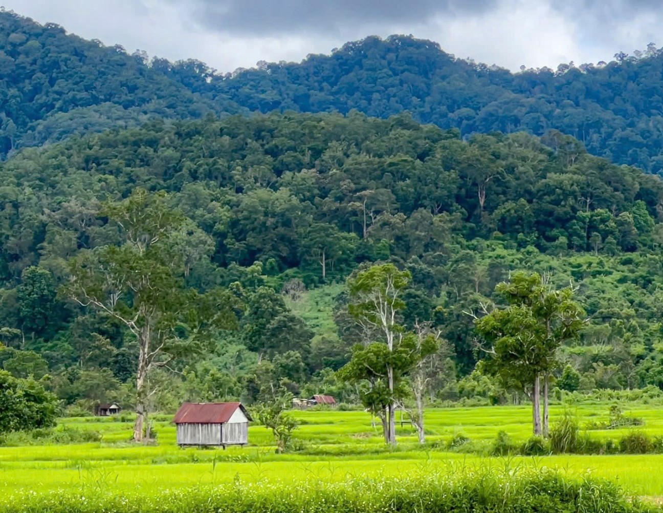 Du lịch Gia Lai mới có gì?