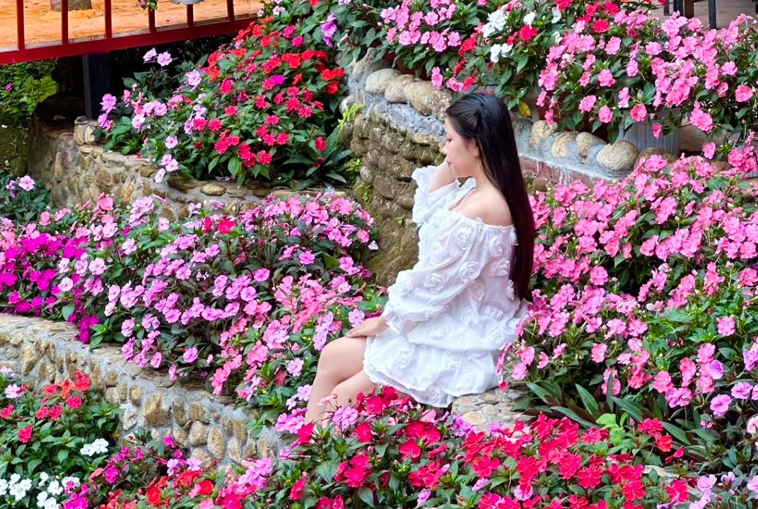 TOUR GIA LAI – SUỐI CHÍ – CHÙA MINH ĐỨC – BIỂN MỸ KHÊ